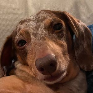 Meet your Posher, Ciara